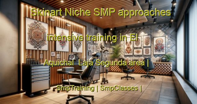 Skinart Niche SMP approaches intensive training in El Aquichal  Laja Segunda area | SmpTraining | SmpClasses | SkinartTraining-Mexico